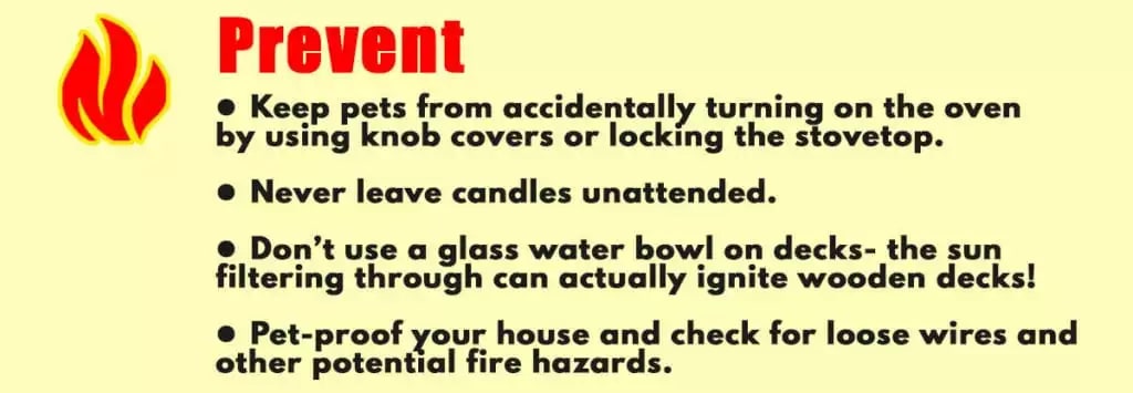 Pet Fire Safety: Prevent