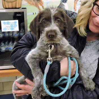 dog being held by woman